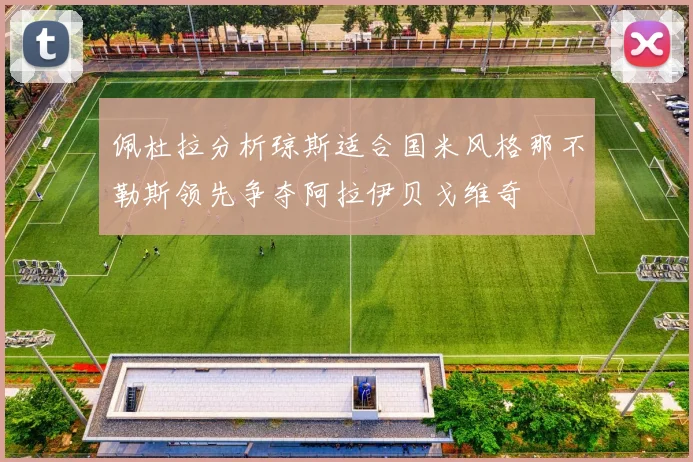 佩杜拉分析琼斯适合国米风格那不勒斯领先争夺阿拉伊贝戈维奇