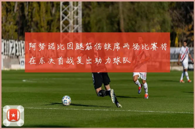阿努诺比因腿筋伤缺席两场比赛将在东决首战复出助力球队