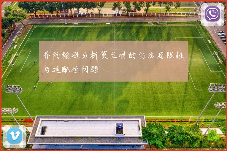 乔约翰逊分析莫兰特的打法局限性与适配性问题