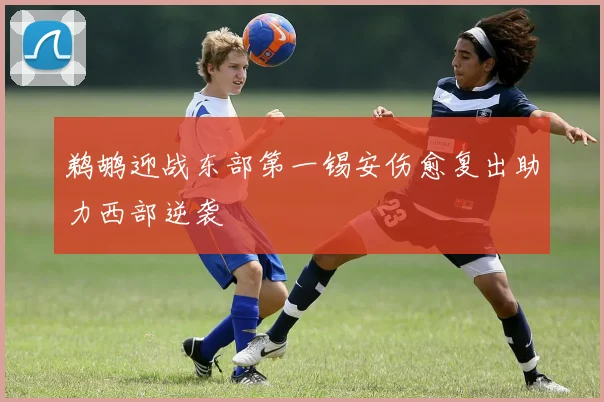 鹈鹕迎战东部第一锡安伤愈复出助力西部逆袭