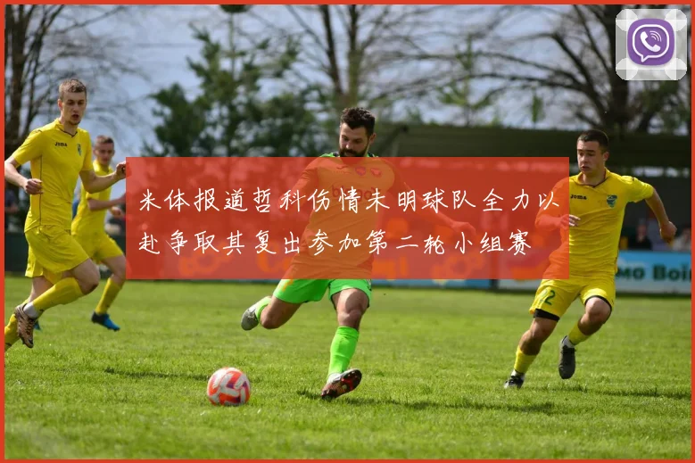 米体报道哲科伤情未明球队全力以赴争取其复出参加第二轮小组赛